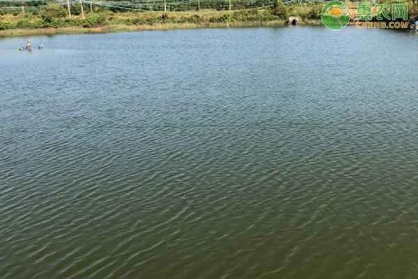 How many fish can be raised in one acre of water that is 2 meters deep?