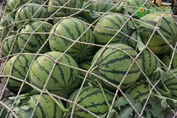 Methods for detecting pesticide residues