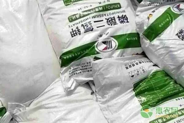 What foliar fertilizer should be used for flower bud differentiation?