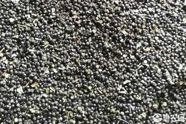 10 Amazing Uses for Sichuan Peppercorns