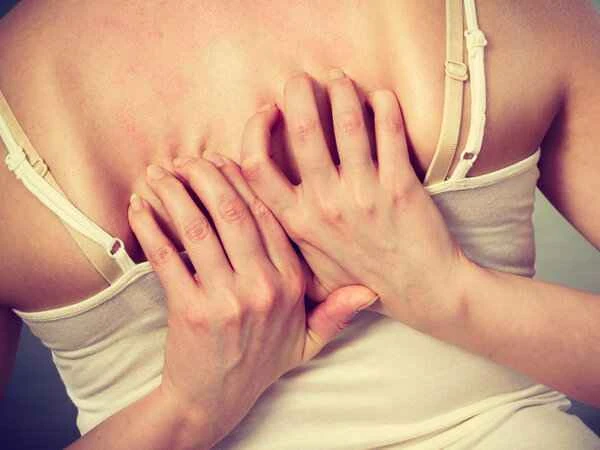 Can recurrent panniculitis be cured?