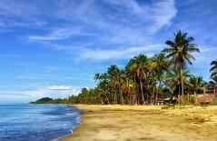 Did you know that a yellowish complexion can be related to diet?