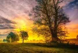 Health Tips: Traditional Chinese Medicine teaches you how to protect your stomach and intestines in autumn