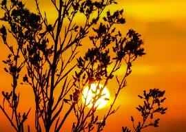 I'll tell you a health regimen that 99% of people probably don't know.