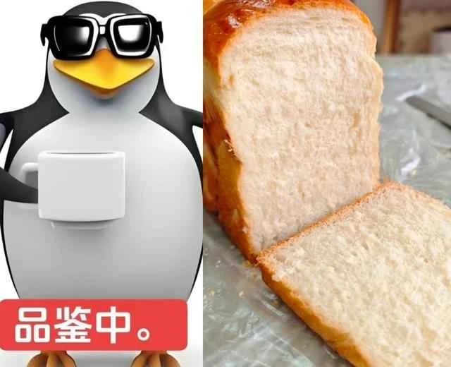 Coconut Oil Toast (Liquid Starter Version) (Dairy-Free) Recipe