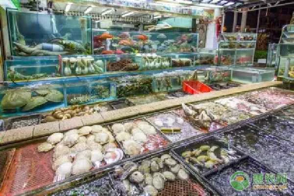 Where can I find cheap seafood at the Sanya seafood market?
