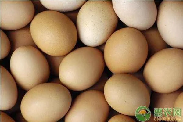 What is the best way to tell the sex of eggs?