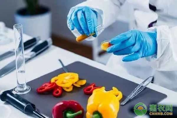 Where can I get a pesticide residue test report?