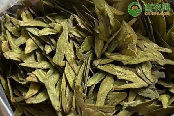 What are the four major types of green tea?