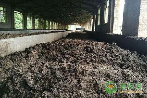 The simplest way to ferment pigeon droppings