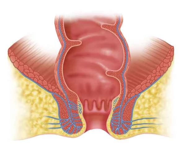 Can zinc oxide ointment be applied to the anus?