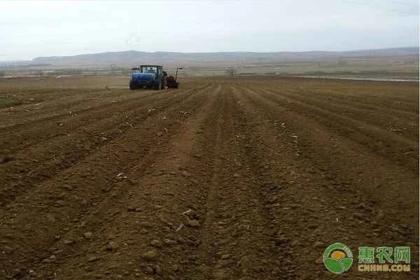 What are the methods for determining the organic matter content of soil?