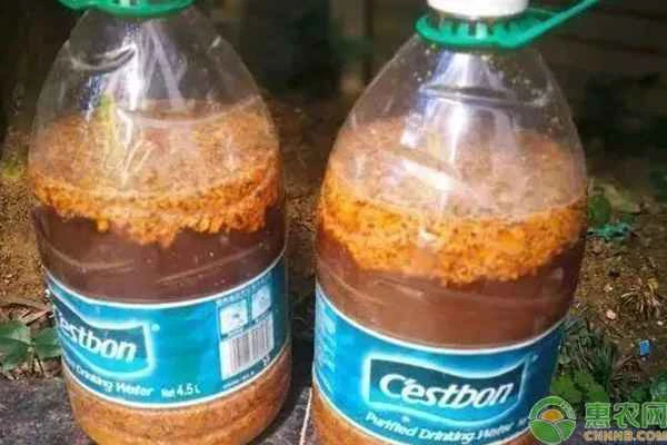 Brown sugar as a root-promoting fertilizer formula