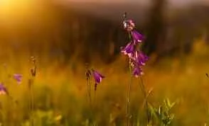 How to regulate excessive liver fire? Try these five methods.