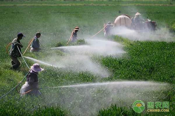 Homemade All-Purpose Herbicide