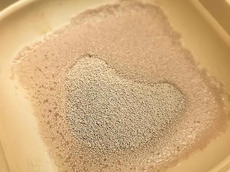 How to make pure milk hand-torn toast: Step 1