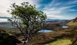 Traditional Chinese medicine believes that osteoporosis is caused by kidney deficiency, and simply supplementing with calcium is not enough.