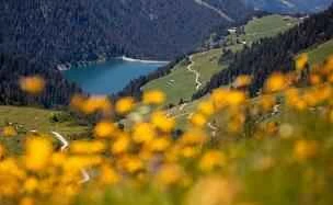 Health Tips: People with these three body types should not drink too much water!