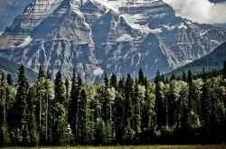 How many of these five methods for cultivating Qi do you know?