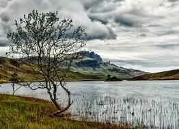 Beware! Dark circles under your eyes can reveal underlying health issues.