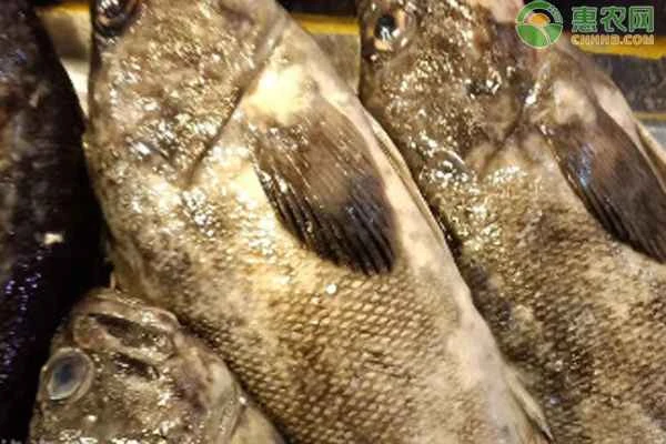 Seafood Consumption Guide from January to December