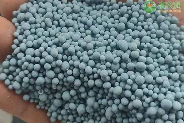 What happens if you put 20 granules of compound fertilizer in a potted plant?