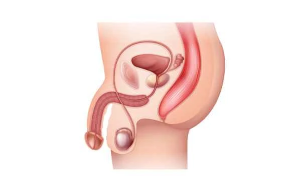 What to do if a boy has pimples on his genitals?